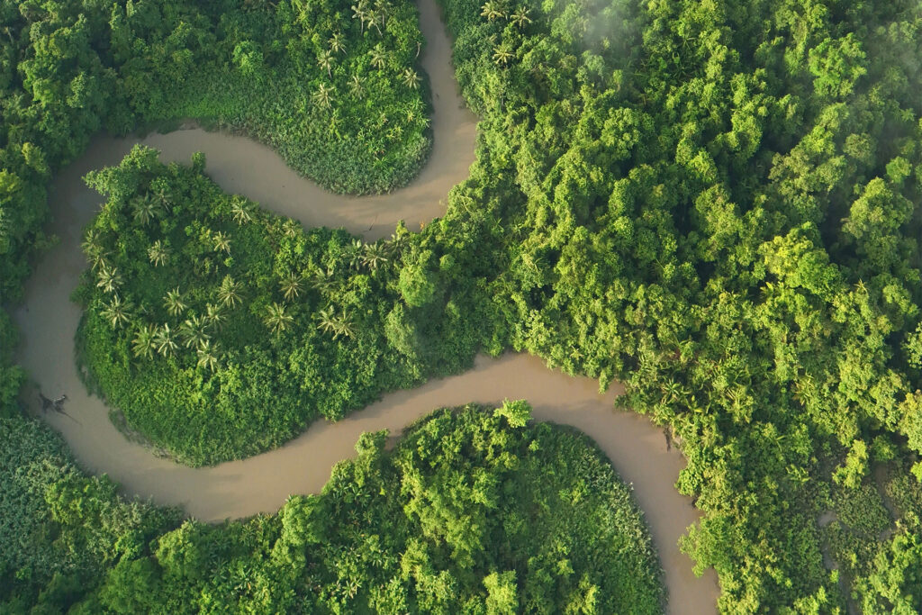 amazonas fondo